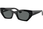 Sluneční brýle Ray-Ban RB4430 667781 Polarized Browline Černé