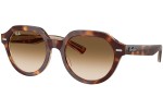 Sluneční brýle Ray-Ban Gina RB4399 141451 Squared Havana