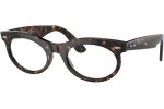 Sluneční brýle Ray-Ban RB2242 902/GI Browline Havana