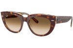 Sluneční brýle Ray-Ban RB2286 141451 Squared Havana