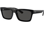 Ray-Ban Warren RB4396 667787