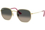 Ray-Ban Hexagonal RB3548N 001/71